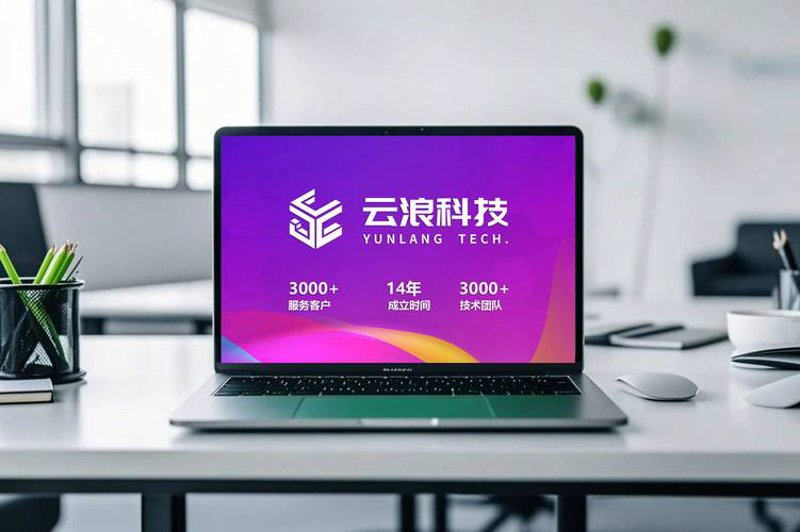 软件定制开发:引领企业智能化转型